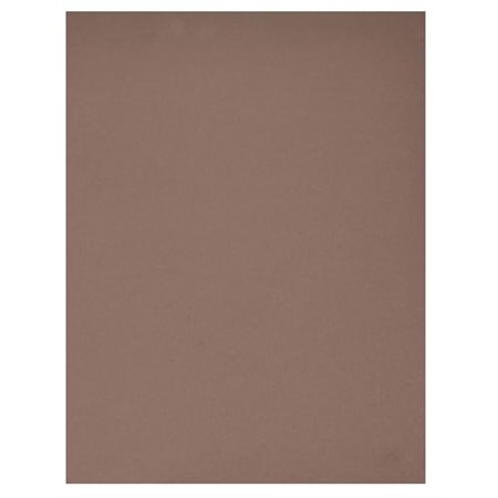 Feuilles mousse couleurs BRUN 9"X12" - Unité