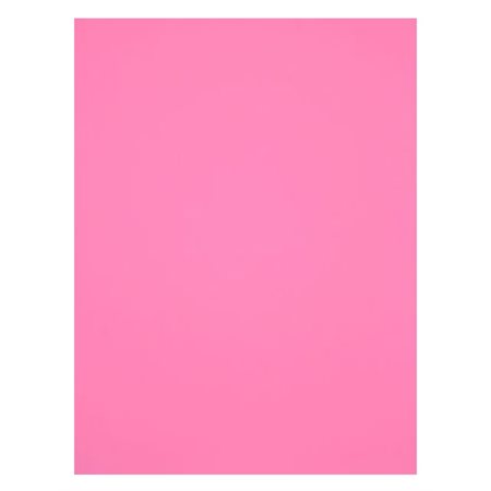 Feuilles mousse couleurs ROSE 9"X12" - Unité