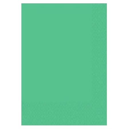 Feuilles mousse couleurs VERT PÂLE 9"X12" - Unité