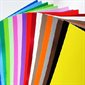 Carton Bristol 22X28" couleurs ASSORTIES (48 / Pqt)